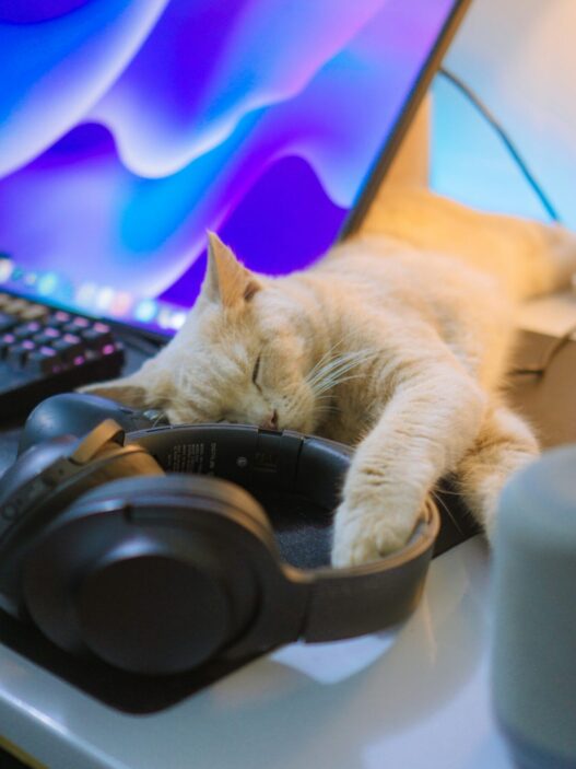 10 proven ways to become less productive
