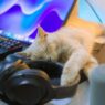 10 proven ways to become less productive