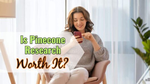 Pinecone Research Review [Is Pinecone Worth it?]