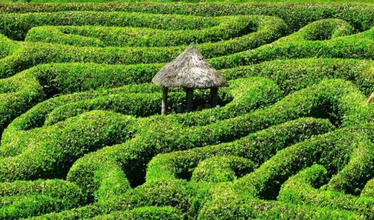 7 Counter Intuitive Questions To Ask To Find Your Purpose In Your Life