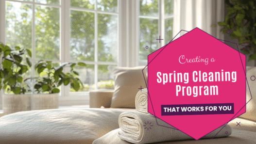 Spring Cleaning Program