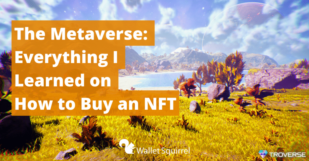 Everything I Learned on How to Buy an NFT