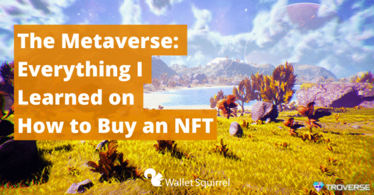 Everything I Learned on How to Buy an NFT