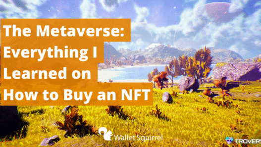 Everything I Learned on How to Buy an NFT