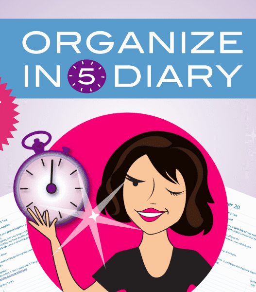 Organize In 5 Diary