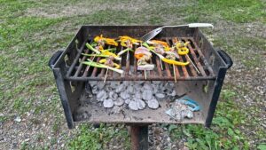 How to Use the Charcoal Grill in Your Public Park This Summer