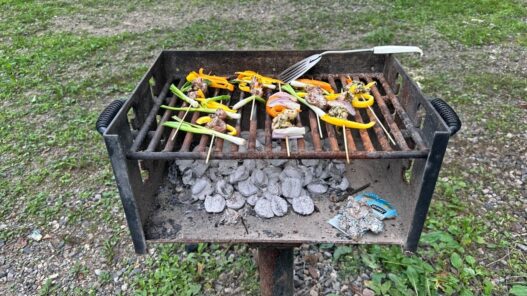 How to Use the Charcoal Grill in Your Public Park This Summer