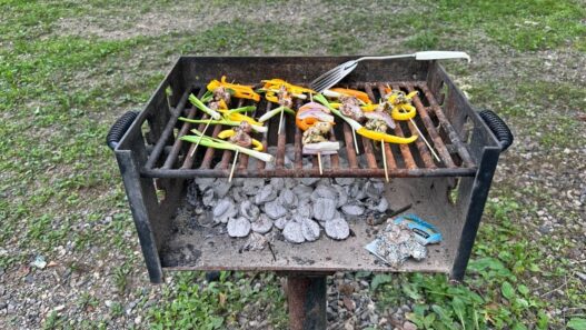 How to Use the Charcoal Grill in Your Public Park This Summer