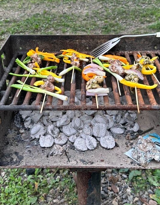 How to Use the Charcoal Grill in Your Public Park This Summer