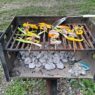 How to Use the Charcoal Grill in Your Public Park This Summer