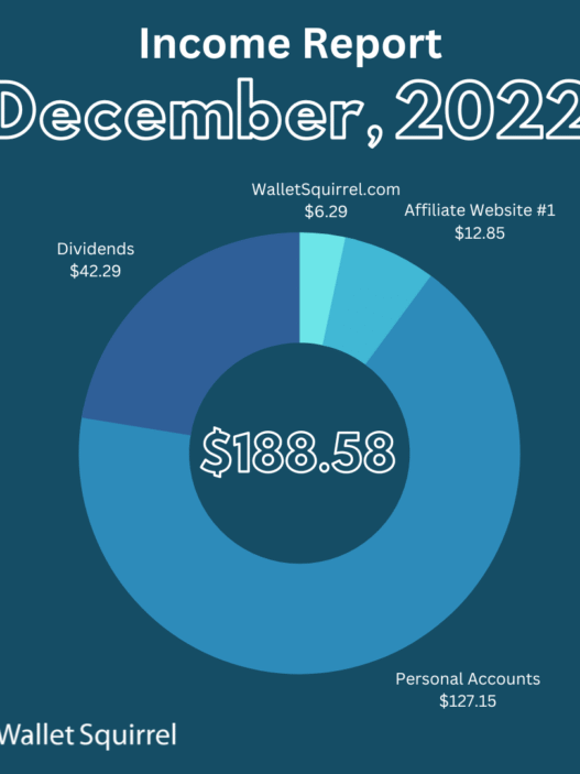 2022 December - Wallet Squirrel Income Report