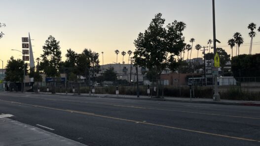 Los Angeles, No Times – Jamie Todd Rubin