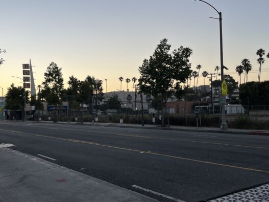 Los Angeles, No Times – Jamie Todd Rubin