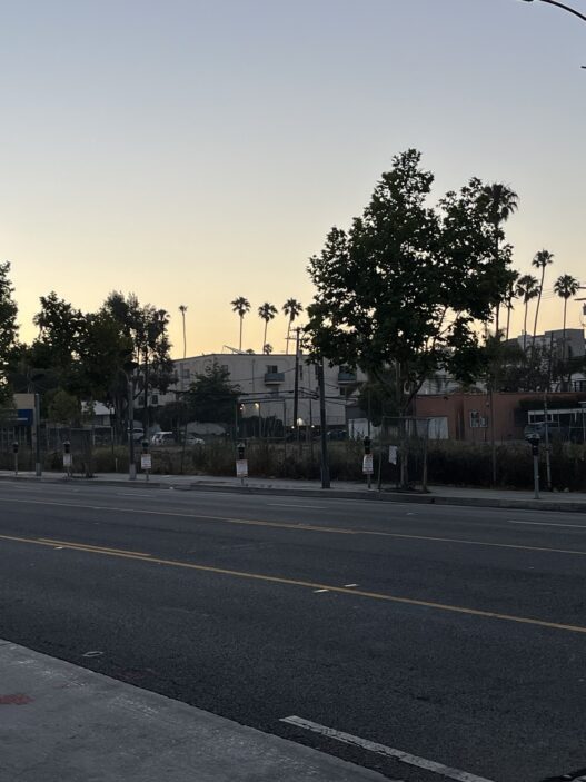Los Angeles, No Times – Jamie Todd Rubin
