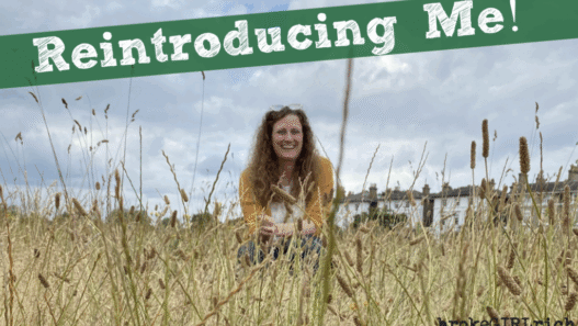 Reintroducing Me!