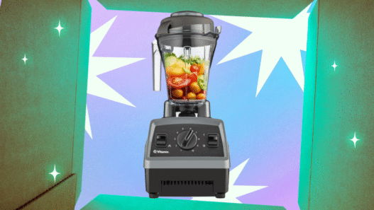 The Best (and Easiest) Way to Clean a Vitamix Explorian E310