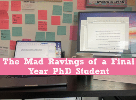The Mad Ravings of a Final Year PhD Student