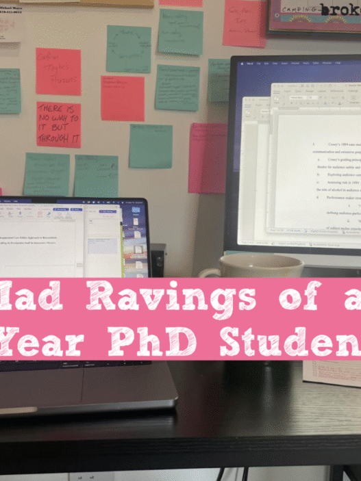 The Mad Ravings of a Final Year PhD Student