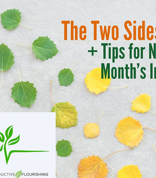 The Two Sides of August (Productive Flourishing Pulse #513)