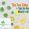 The Two Sides of August (Productive Flourishing Pulse #513)