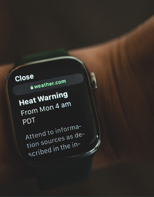 What to Do When There's an Excessive Heat Warning or Heat Advisory