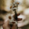 10 Things We'll Regret When We're Older