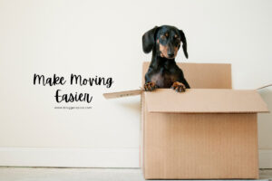 6 Easy Ways To Stay Organized Before Moving