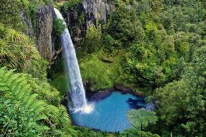 north island, great walks in new zealand