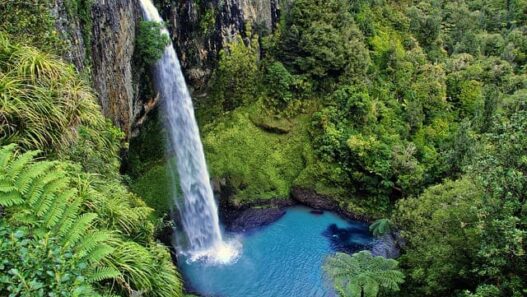 north island, great walks in new zealand