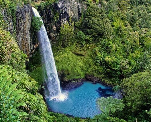 north island, great walks in new zealand