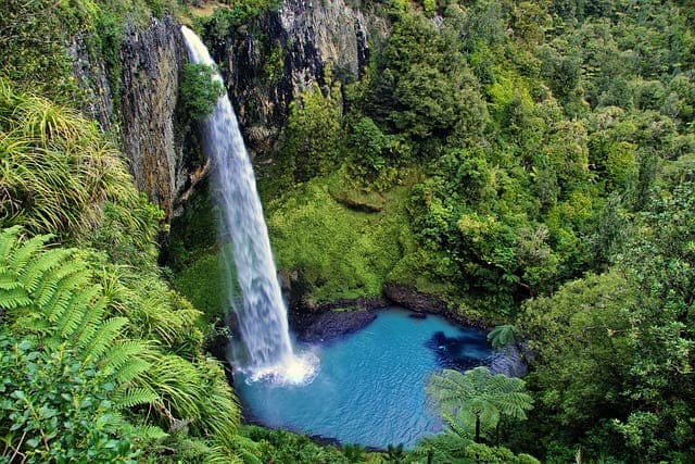 north island, great walks in new zealand