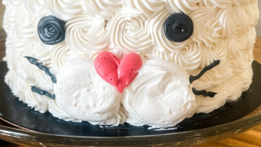 Cat cake ideas