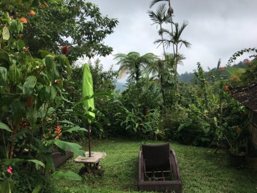 Finding Serenity at Sarinbuana Eco Lodge – D Travels 'Round