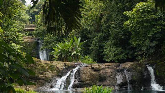 How To Get From San José To Puerto Viejo, Costa Rica [2025 GUIDE]