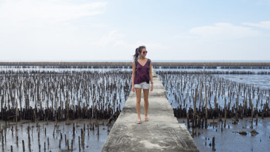 mangrove-boardwalk,-Day-trips-from-Bangkok,-Thailand