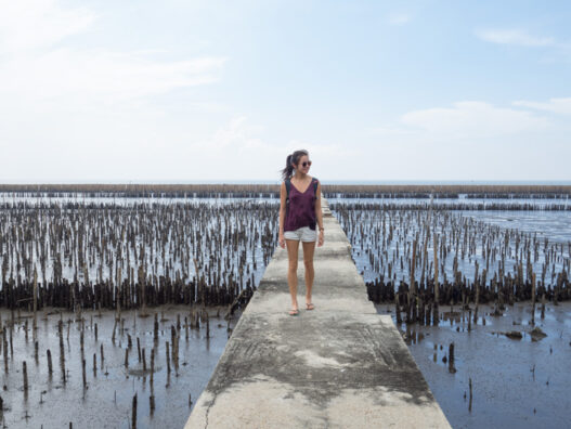 mangrove-boardwalk,-Day-trips-from-Bangkok,-Thailand