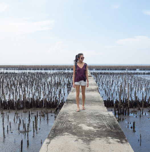 mangrove-boardwalk,-Day-trips-from-Bangkok,-Thailand