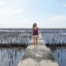 mangrove-boardwalk,-Day-trips-from-Bangkok,-Thailand