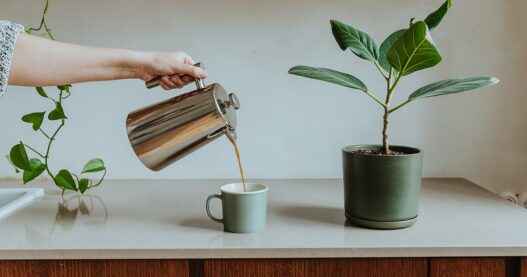 How to Create a Daily Decluttering Routine