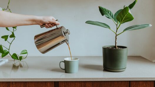 How to Create a Daily Decluttering Routine