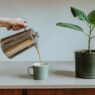 How to Create a Daily Decluttering Routine