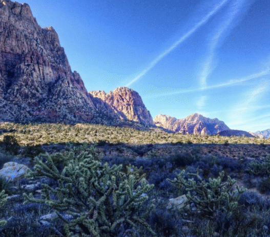 On a Normal Life – D Travels 'Round