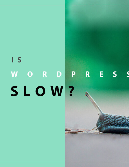 Think WordPress is Slow? It Might Be Your Developer
