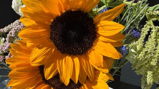 Weekend Favorites: returning to your childhood hobbies + 23 money saving tips