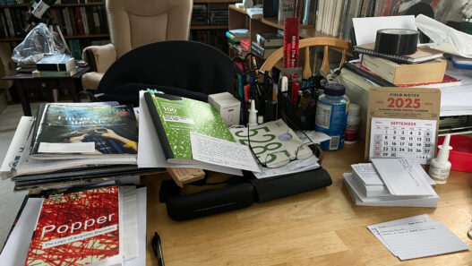 A Saturday To-Do List – Jamie Todd Rubin