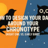 Design the Day Around Your Chronotype (Night Owl vs. Early Bird)