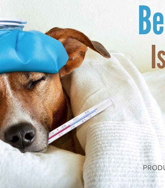 Being Sick Is a Project