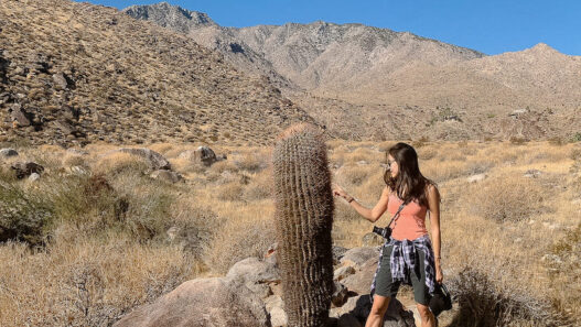 Palm Springs, California, USA-10