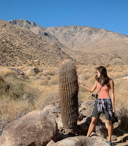 Palm Springs, California, USA-10