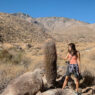 Palm Springs, California, USA-10